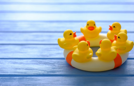 Yellow ducks floating on a life preserver