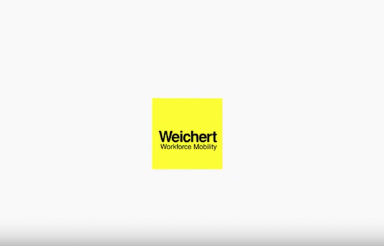 Weichert Global Organizer 2018
