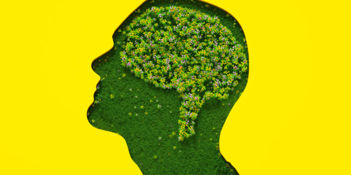 Flower brain