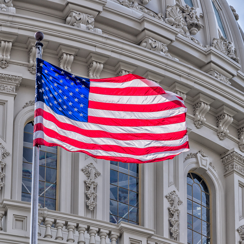 Government-Services-Flag