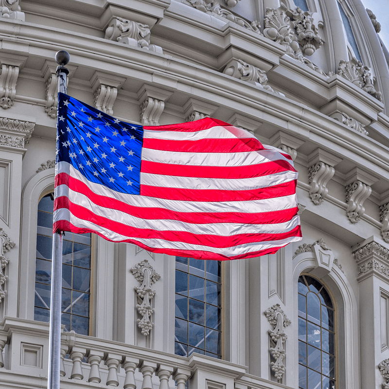 Government-Services-Flag_optimized