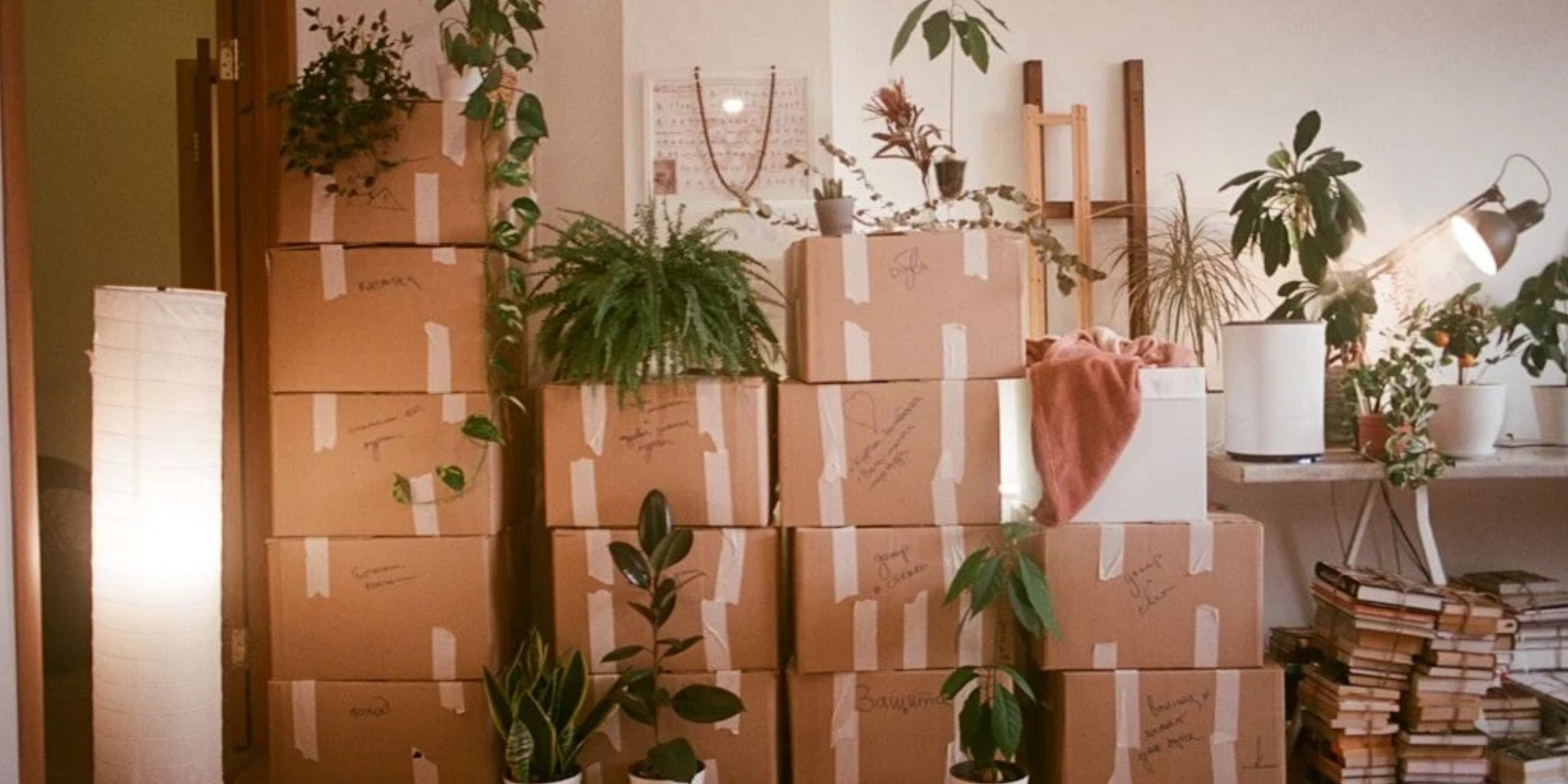 How Our HHG Solution Delivers a Big Green Impact