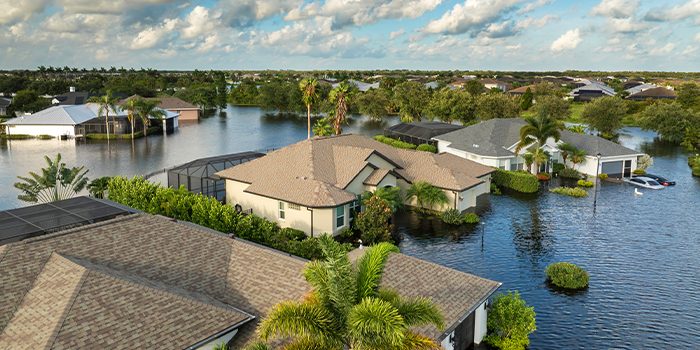 Disaster-Proofing Your Mobility Program & Talent Strategy