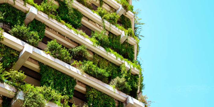 Reflections on Leading the Charge on Environmental Sustainability