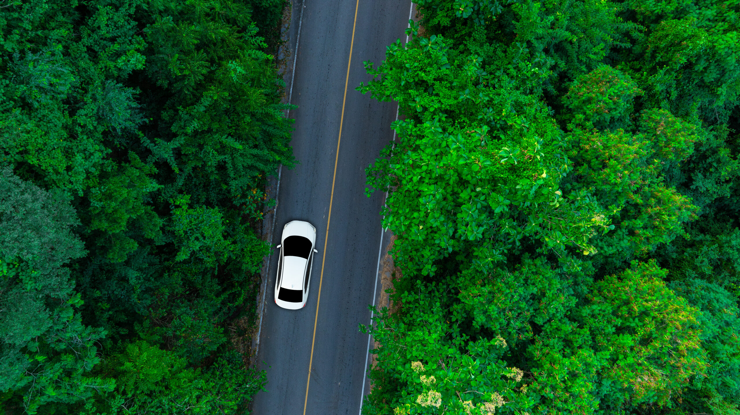 Aerial view car on road